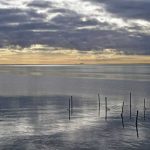 Oostende voor Anker maakt het goede weer