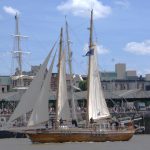 Blankenberge op programma ‘Tour Voile 2024’